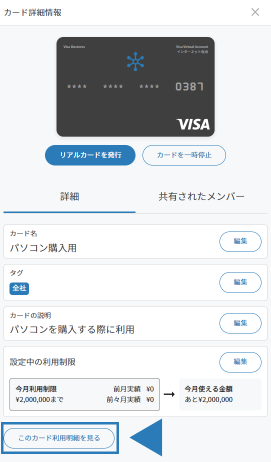 card_management_detail_statements.png